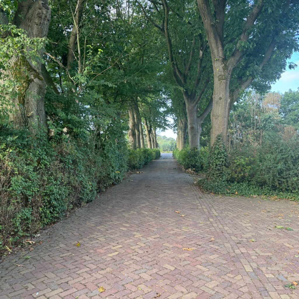 Theerestraat 78 Sint-michielsgestel